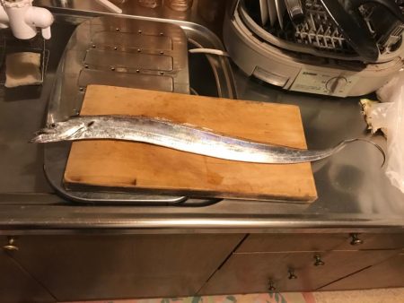 タチウオゲット！