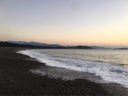 大里松原海岸 シオ 36cm