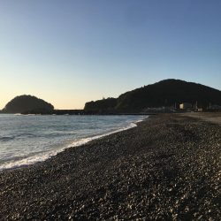 大里松原海岸 ハマチ 47cm