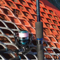 ノマセ初挑戦からの…エギング