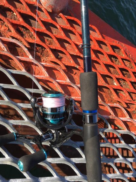 ノマセ初挑戦からの…エギング