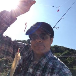 キス釣れるかな⁈