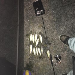 ラッキーかな？