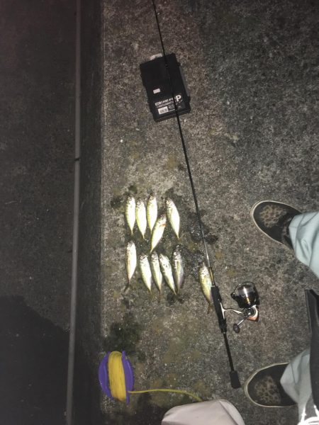 ラッキーかな？