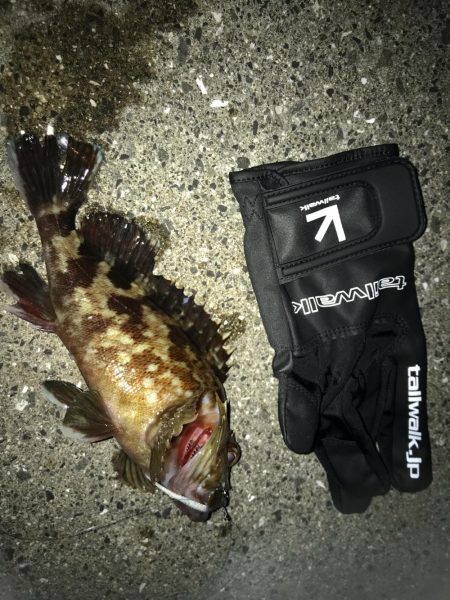 ロックフィッシュ