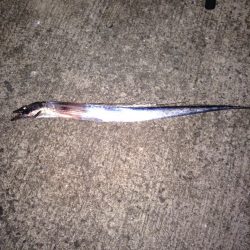 台風前の刀狩り