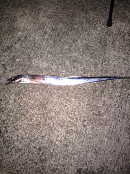 台風前の刀狩り