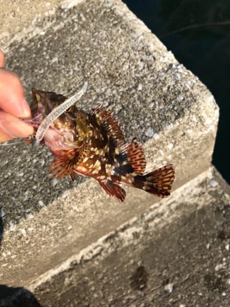 お昼からぼちぼちライトゲーム