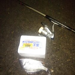 台風前の釣行だが…