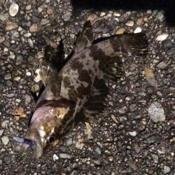 爆風ライトゲーム