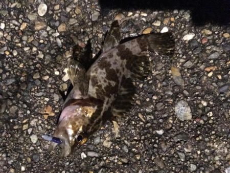 爆風ライトゲーム