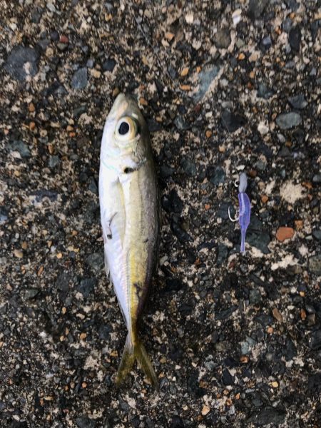 メバダート1インチ  青色を使う。