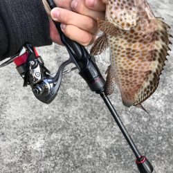 佐伯ライトゲーム！