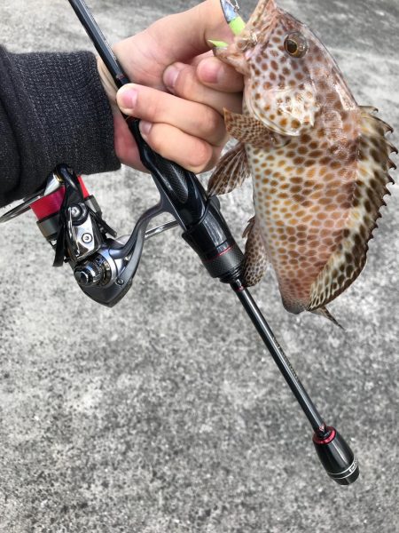 佐伯ライトゲーム！