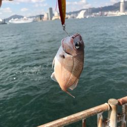 ラン&ジャンピンサイドレーザーキャストナブラゲッチュ！