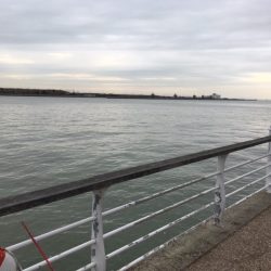 大阪舞洲（まいしま）でカニでヘチ釣り　食いが渋かった！