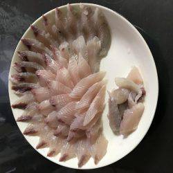 やっとサゴシが釣れた^ – ^