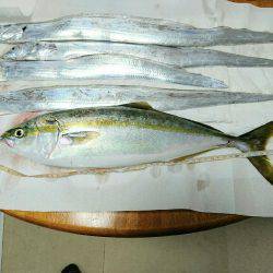 13時間の戦いの末！