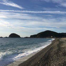 大里松原海岸  スマガツオ2匹 弓角