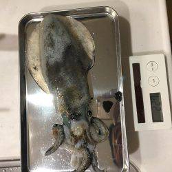 陽が沈んでから