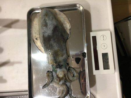 陽が沈んでから