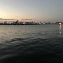 なんとか、ボウズは…。