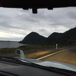 ライトゲームでアコウ