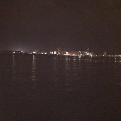 居着きのタチウオ⁇