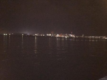 居着きのタチウオ⁇