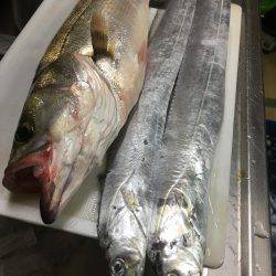 キモはスローリトリーブ！橋下でドン！