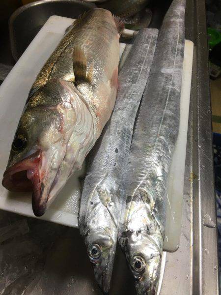 キモはスローリトリーブ！橋下でドン！