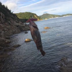 ロックフィッシュゲーム