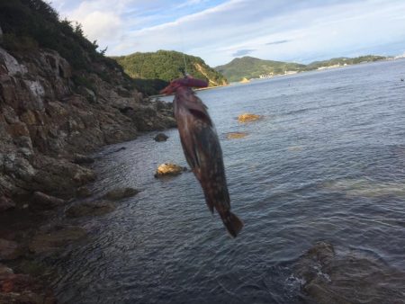 ロックフィッシュゲーム