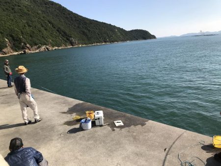 サヨリ かわはぎGET!!