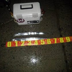 太刀魚探索⁉️