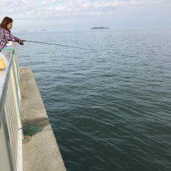 まさかのイトヨリ