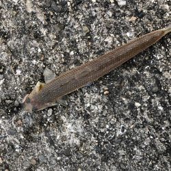 小物に癒されて