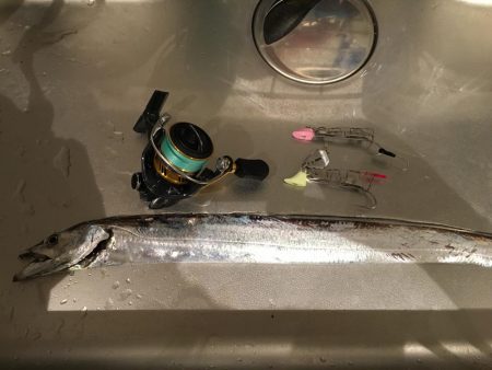 小雨のタチウオ調査！渋いっ…。