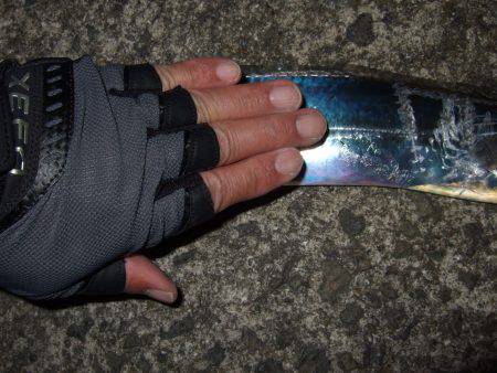 ようやく調子が出てきた？