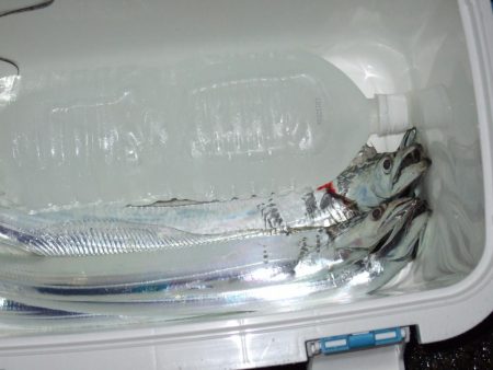 雨の合間に刀狩り