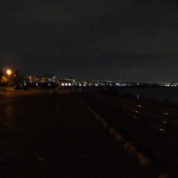 パニックの末のタチウオ