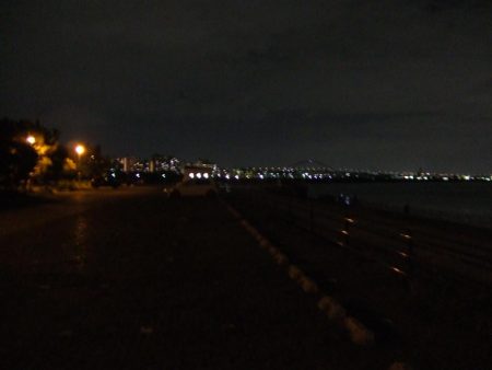 パニックの末のタチウオ