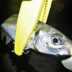 サイズはいいが…