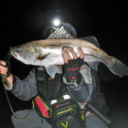 リバーシーバス