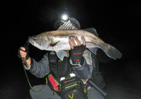 リバーシーバス