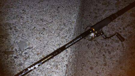 teamゲッソー調査隊