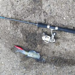 teamゲッソー調査隊