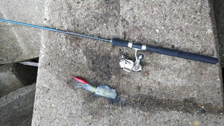 teamゲッソー調査隊