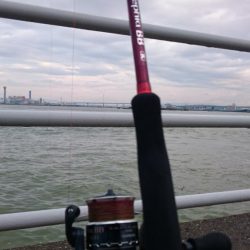 台風後②なんとか