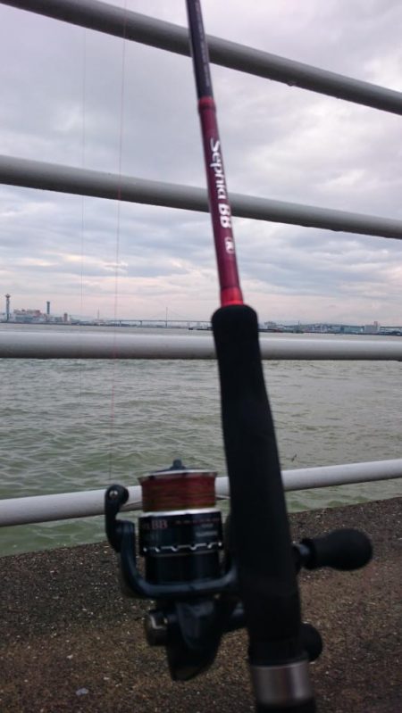 台風後②なんとか